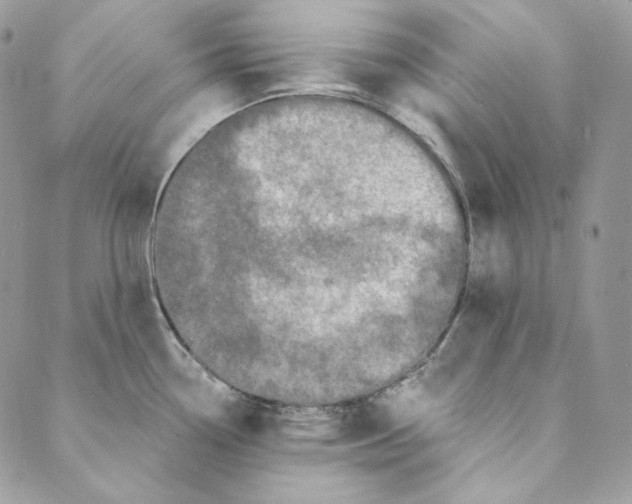 X0000088891338200706291430