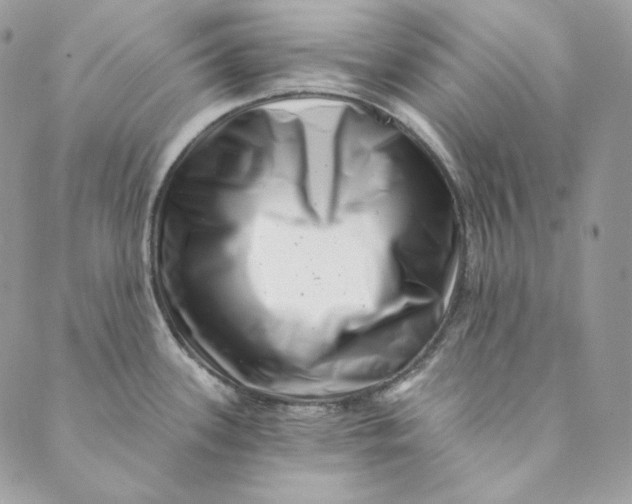 X0000088891339200706291430