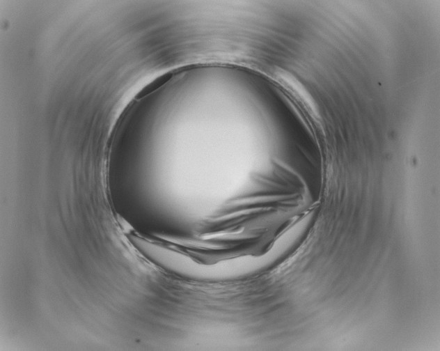 X0000088891340200706291430