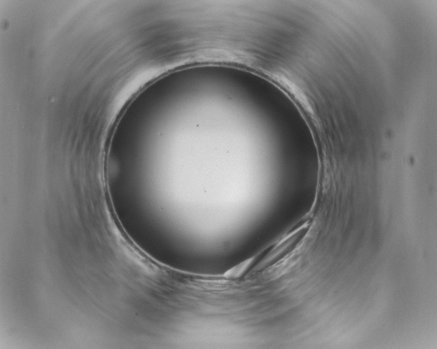 X0000088891342200706291430