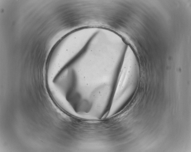 X0000088891343200706291430