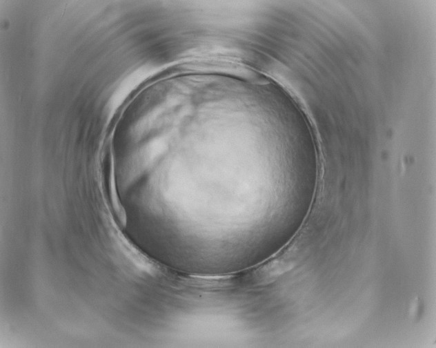 X0000088891344200706291430