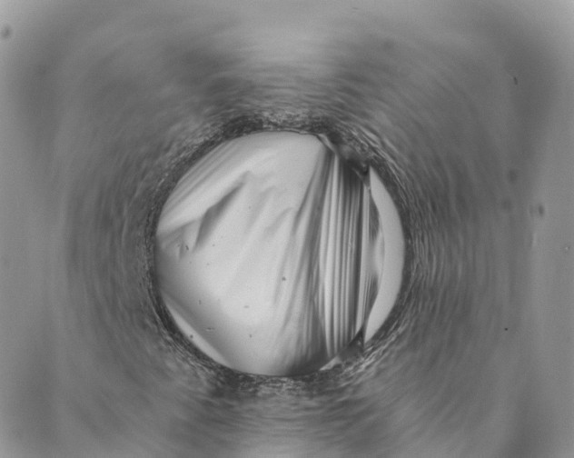 X0000088891345200706291429