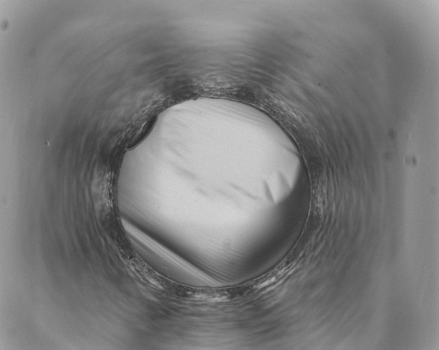 X0000088891346200706291429