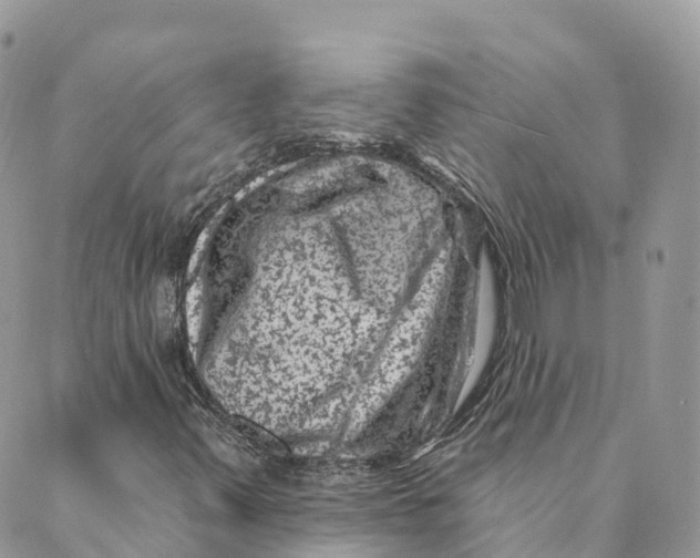 X0000088891347200706291429