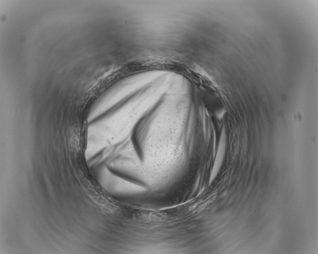 X0000088891348200706291429