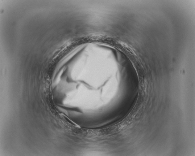 X0000088891349200706291429