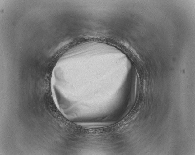 X0000088891350200706291429