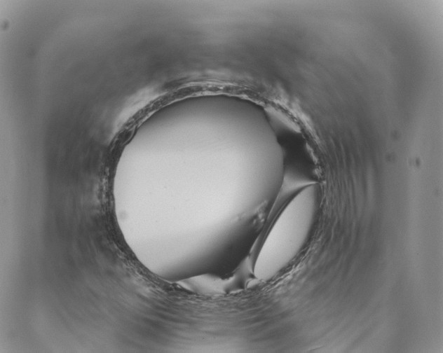 X0000088891352200706291429