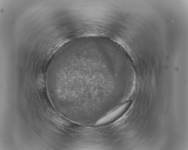 X0000088891353200706291429