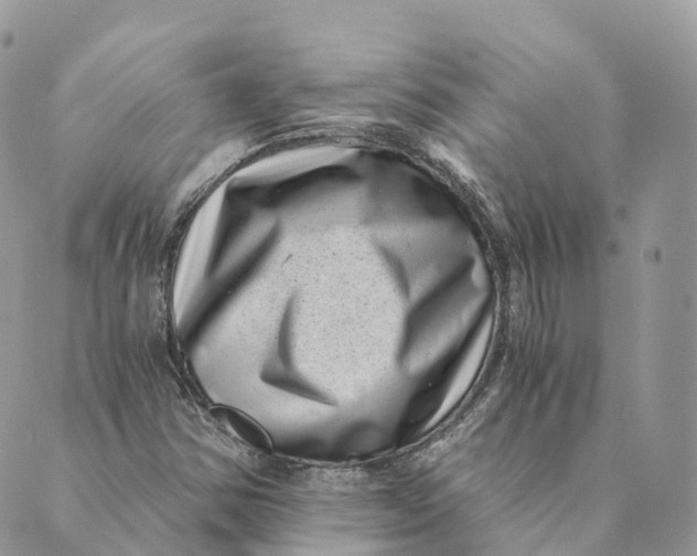 X0000088891354200706291429