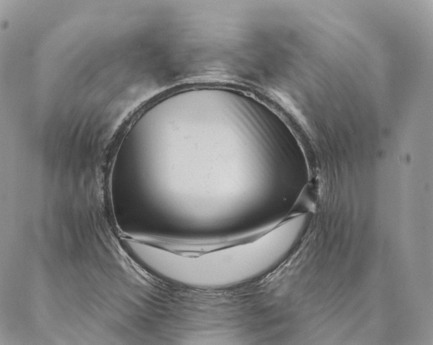 X0000088891356200706291429