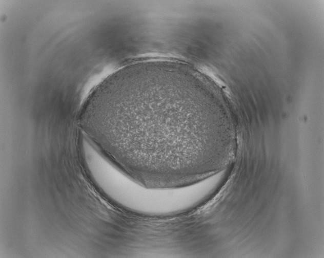 X0000088891357200706291429