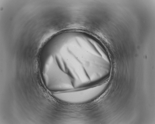 X0000088891358200706291429