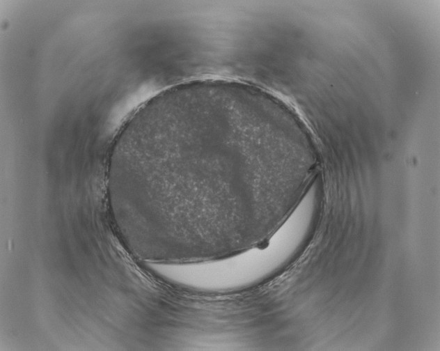 X0000088891359200706291429