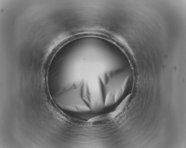 X0000088891360200706291429