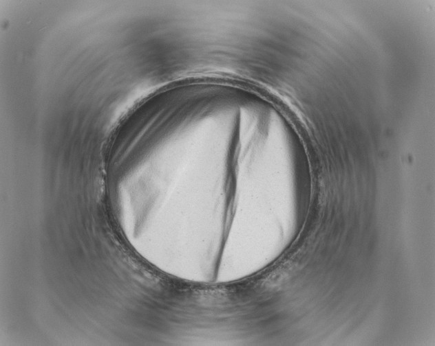 X0000088891363200706291429