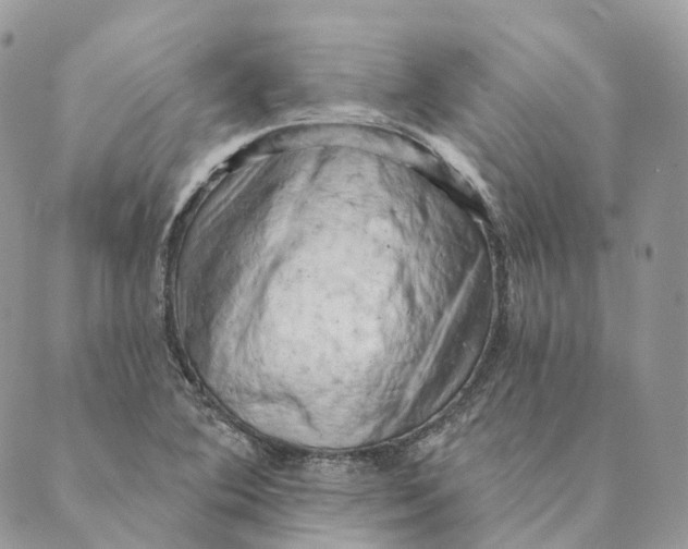 X0000088891364200706291429