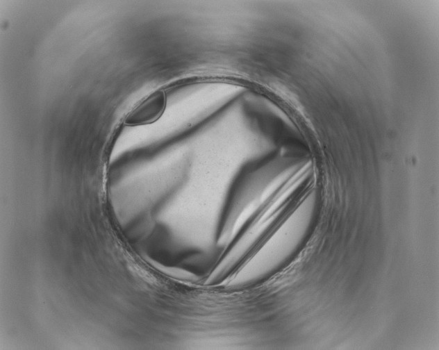 X0000088891366200706291429