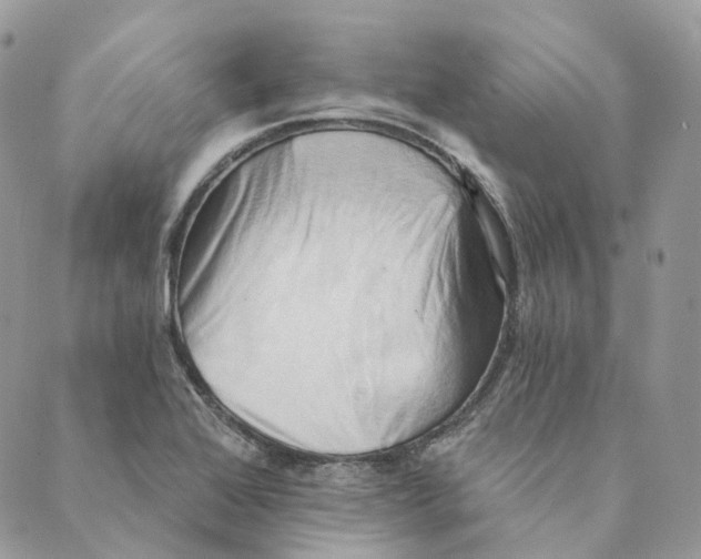 X0000088891368200706291429