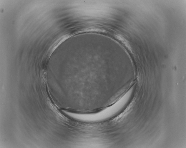 X0000088891369200706291429