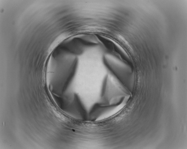 X0000088891370200706291429