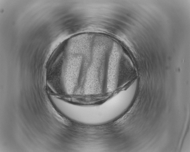 X0000088891371200706291429