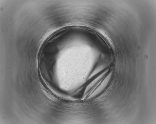 X0000088891372200706291429