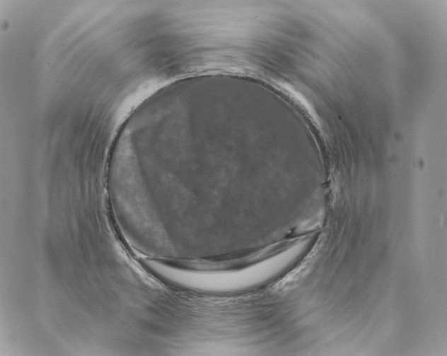 X0000088891373200706291429