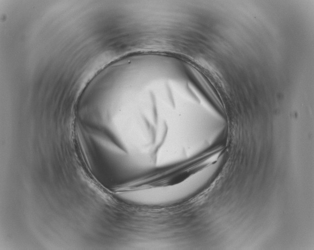 X0000088891374200706291429