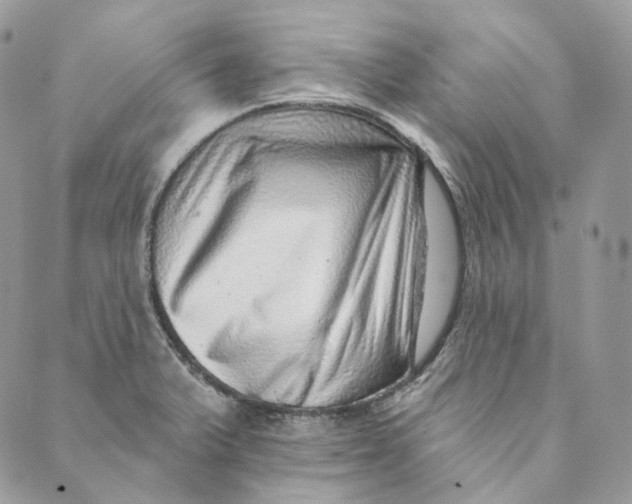 X0000088891375200706291429