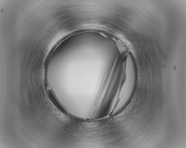 X0000088891376200706291429