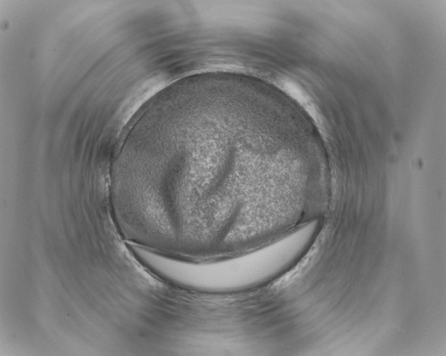 X0000088891377200706291429