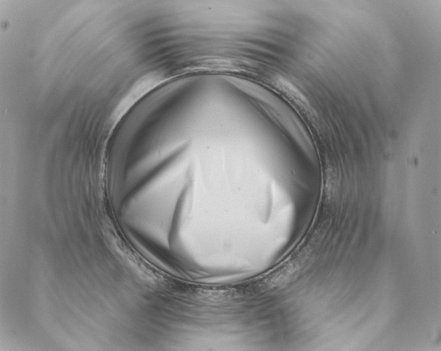 X0000088891378200706291429