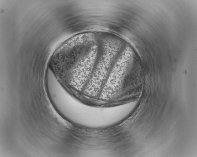 X0000088891379200706291429