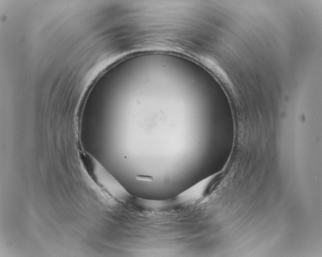 X0000088891380200706291429