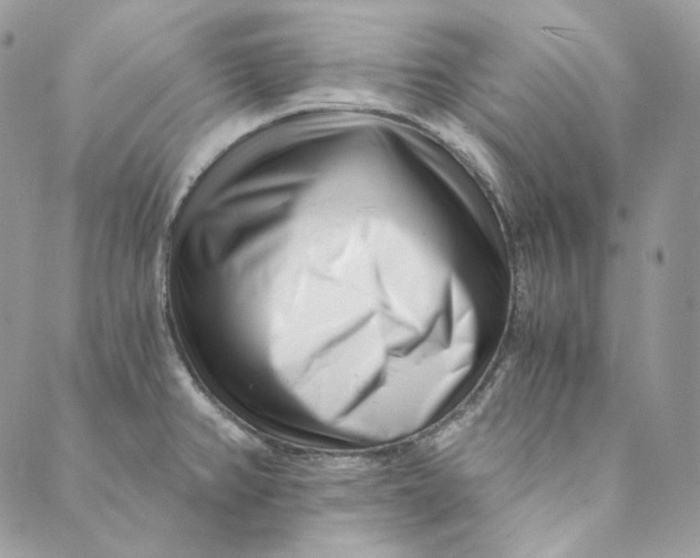 X0000088891382200706291429