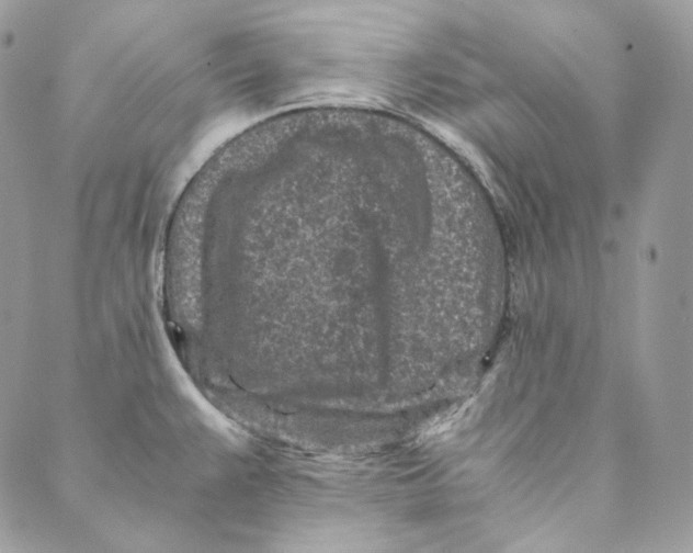 X0000088891383200706291429