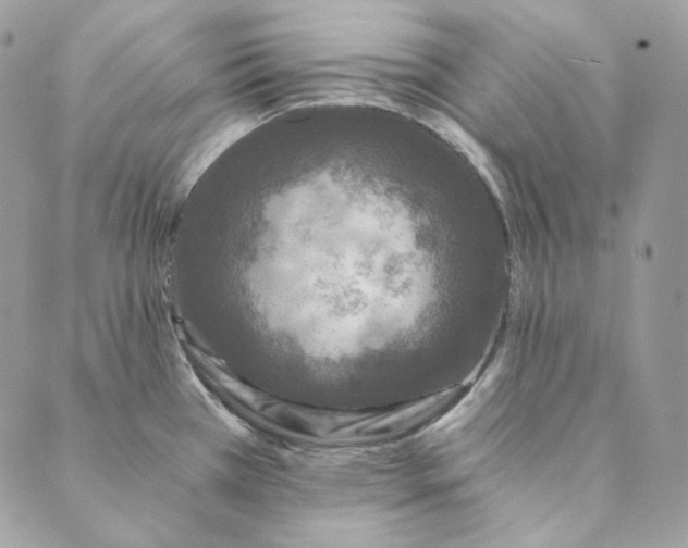 X0000088891385200706291429