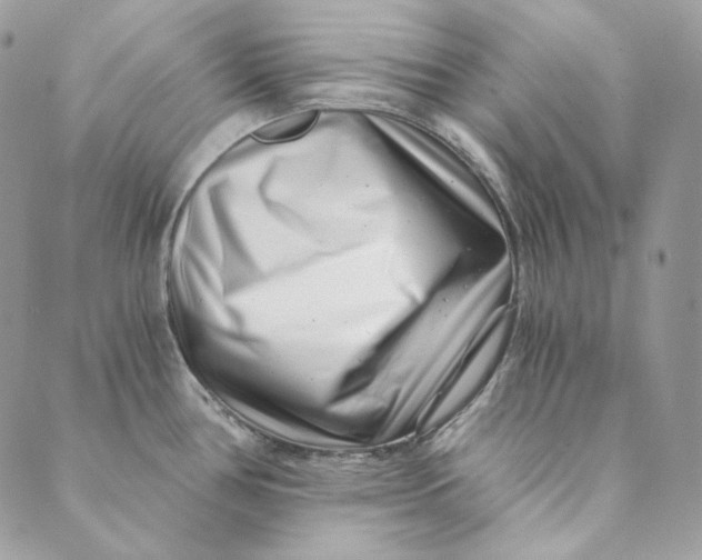 X0000088891386200706291429