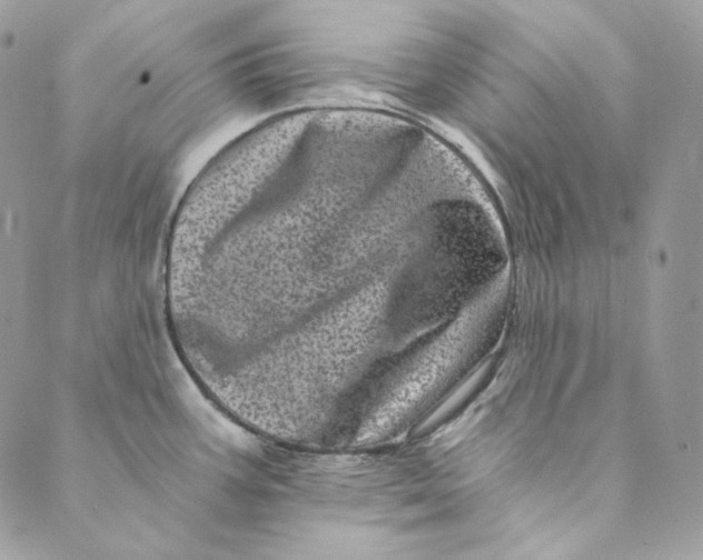 X0000088891387200706291429