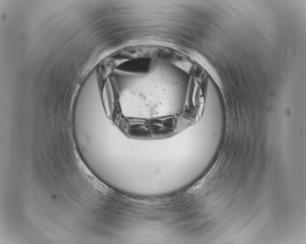 X0000088891388200706291429