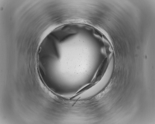 X0000088891389200706291429