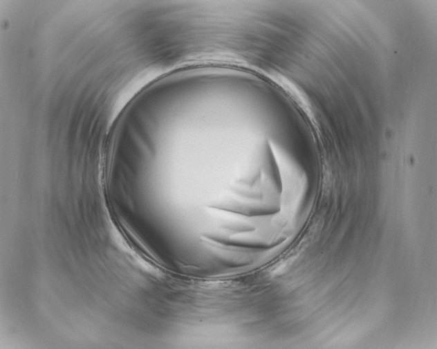 X0000088891390200706291429