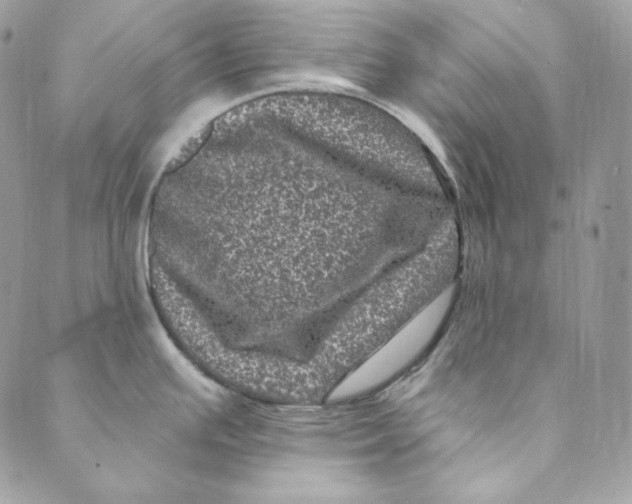 X0000088891391200706291429