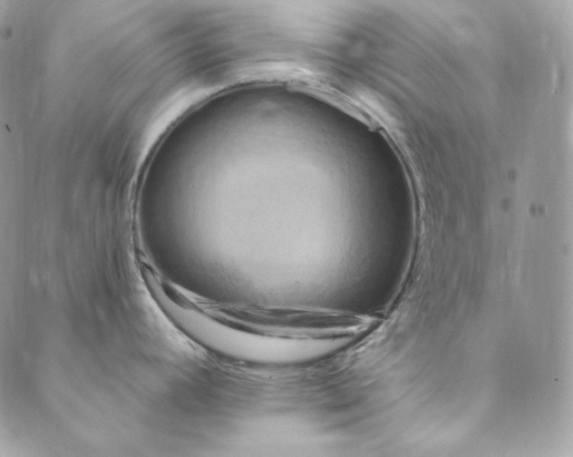 X0000088891392200706291429