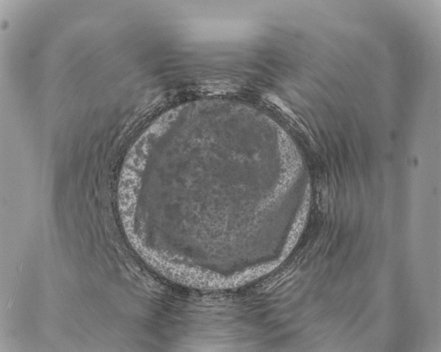 X0000088891393200706291428