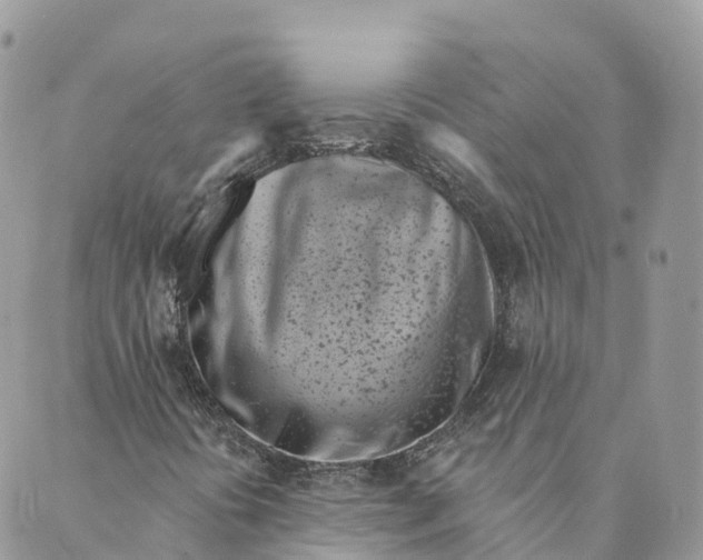 X0000088891394200706291428