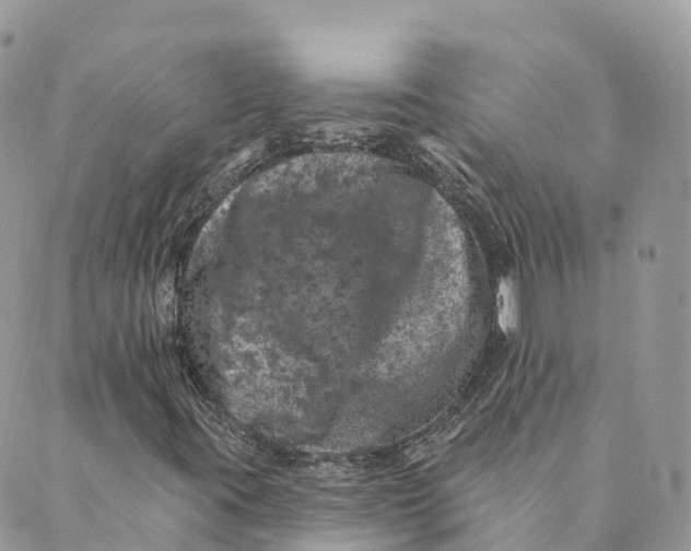 X0000088891395200706291428