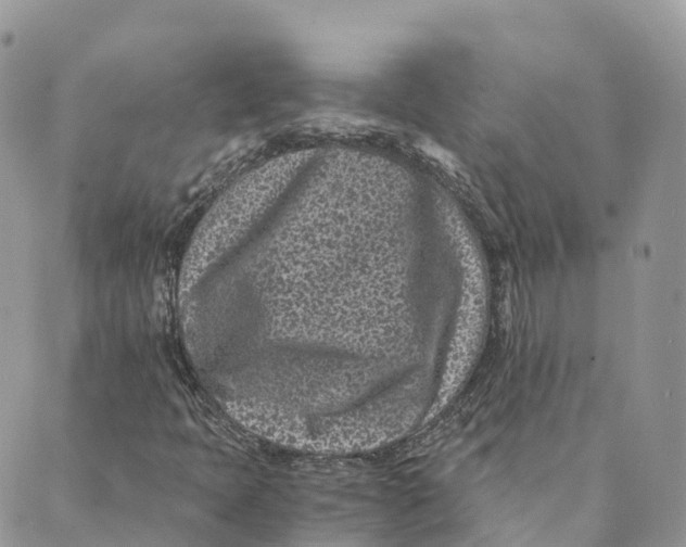 X0000088891397200706291428